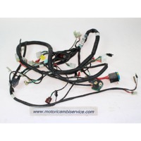 WIRING HARNESSES OEM N.  SPARE PART USED SCOOTER SANYANG SYM JOY-MAX 250 (2005 - 2006) DISPLACEMENT CC. 250  YEAR OF CONSTRUCTION 2007